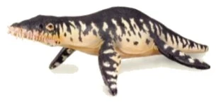 CollectA 動物模型 滑齒龍