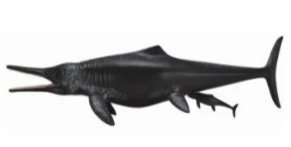 CollectA 動物模型 泰曼魚龍