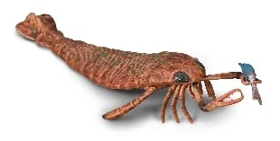 CollectA 動物模型 1:20海蠍子及其獵物