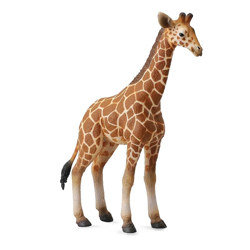 CollectA 動物模型 小網紋長頸鹿