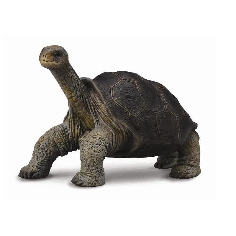 CollectA 動物模型 平塔島象龜