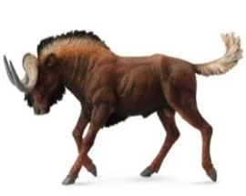 CollectA 動物模型 白尾角馬