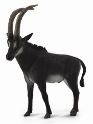 CollectA 動物模型 羅馬羚羊(雄)
