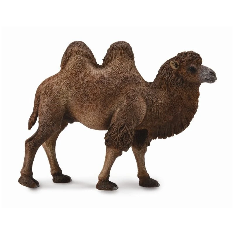 CollectA 動物模型 雙峰駱駝