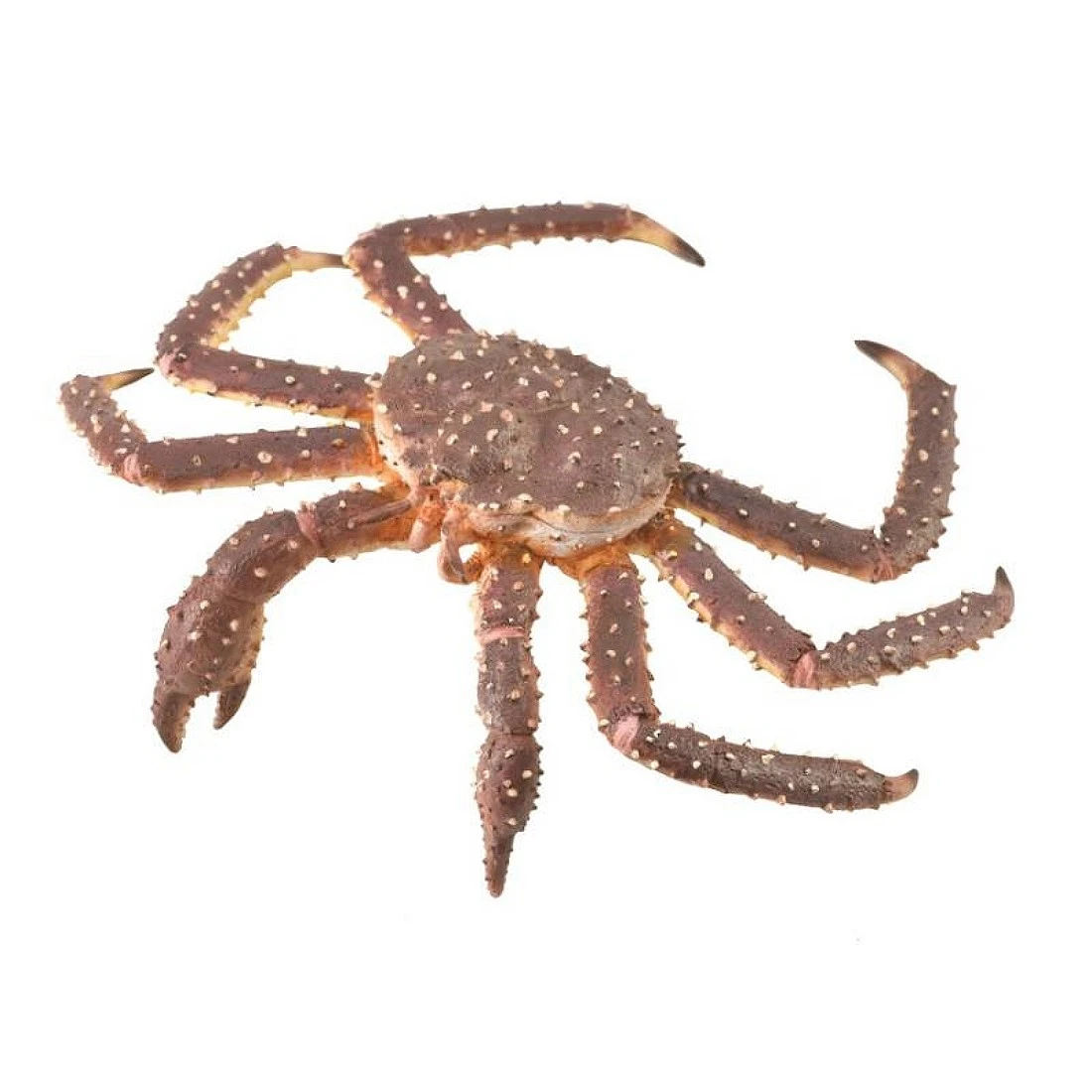 CollectA 動物模型 帝王蟹