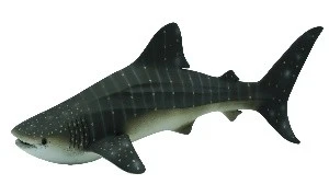 CollectA 動物模型 鯨鯊