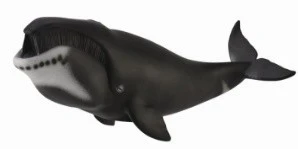 CollectA 動物模型 弓頭鯨