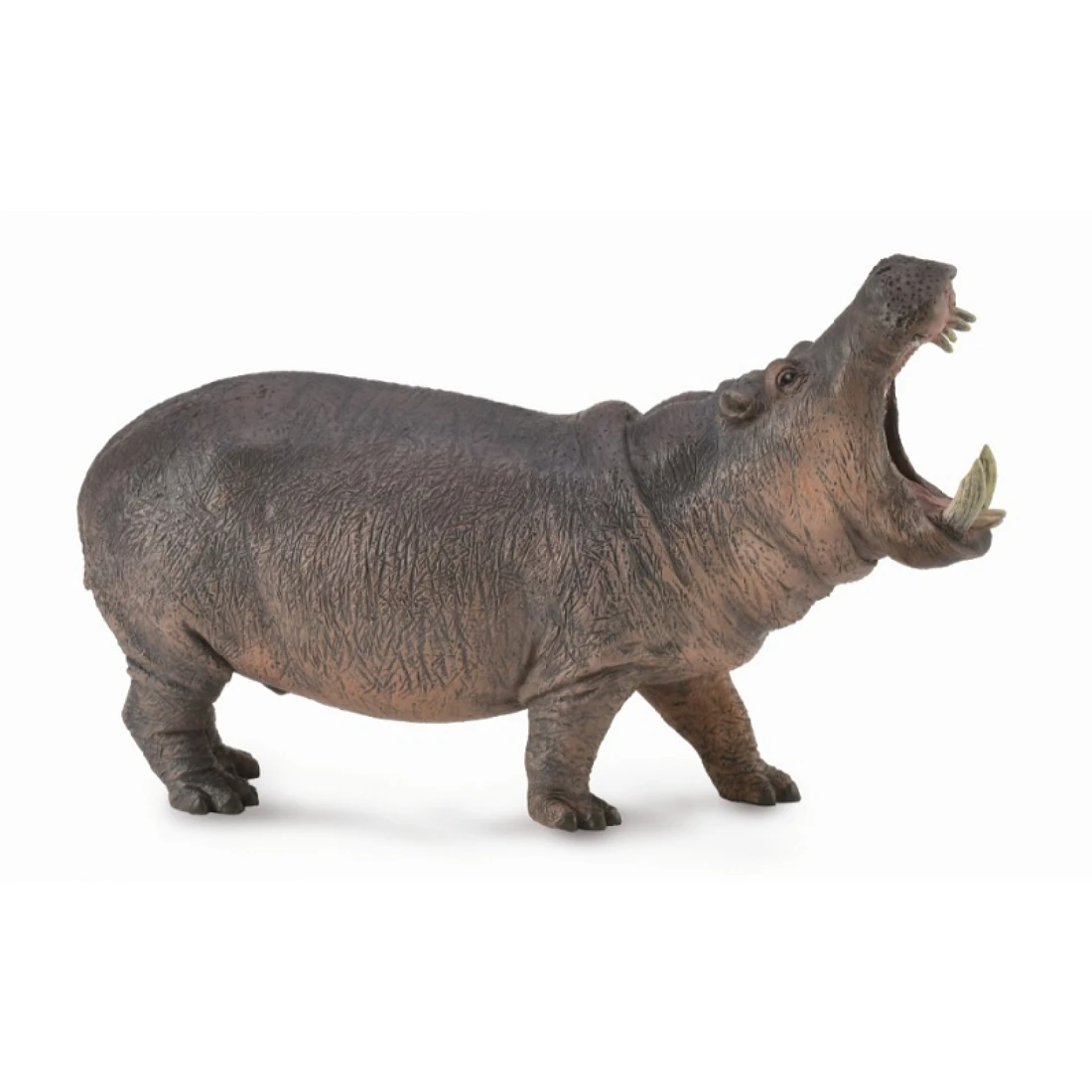 CollectA 動物模型 河馬