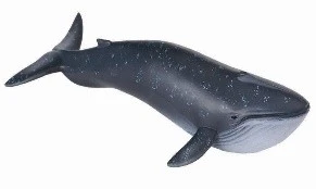 CollectA 動物模型 藍鯨