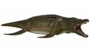 CollectA 動物模型 1/40 上龍