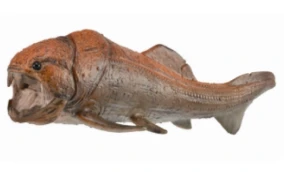 CollectA 動物模型 鄧氏魚 活動嘴巴