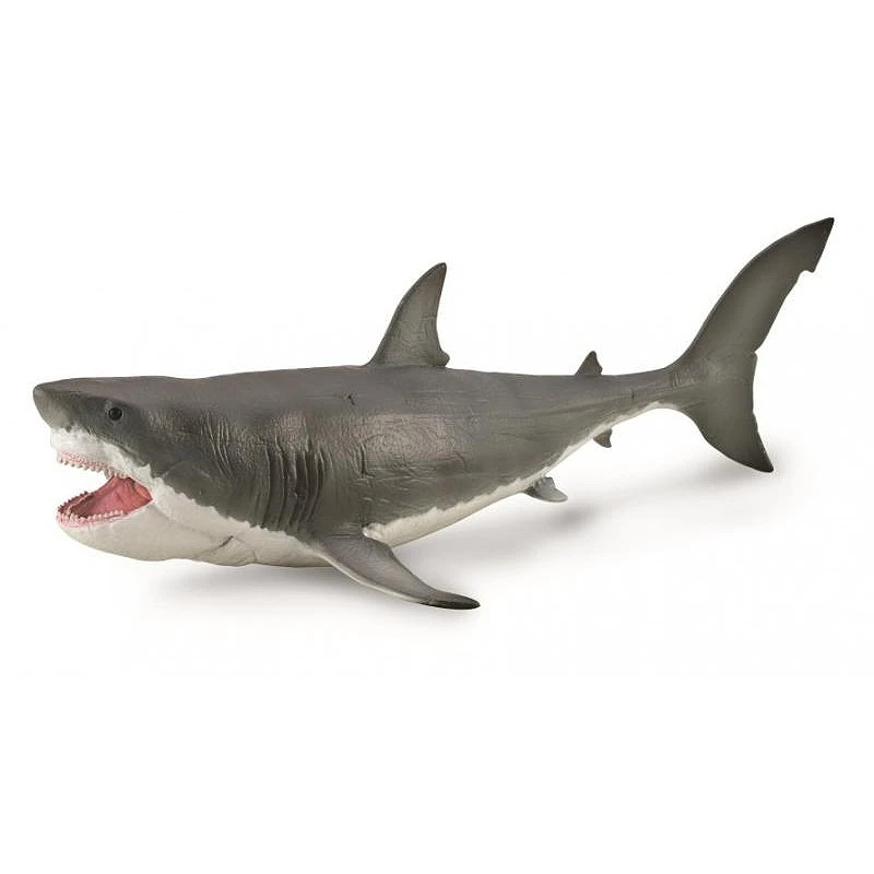 CollectA 動物模型 1/40 巨齒鯊