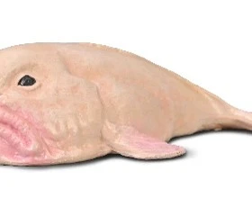 CollectA 動物模型 水滴魚