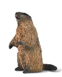 CollectA 動物模型 土撥鼠