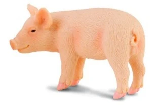 CollectA 動物模型 小豬 站