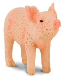CollectA 動物模型 小豬 嗅