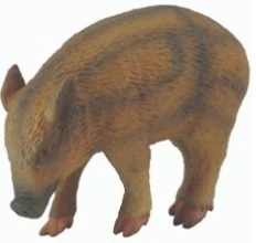 CollectA 動物模型 小野豬 吃東西