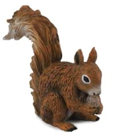 CollectA 動物模型 松鼠