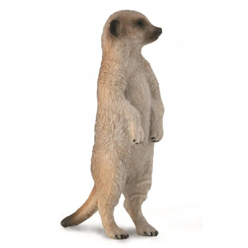 CollectA 動物模型 狐獴 站立