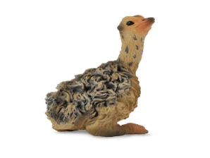 CollectA 動物模型 幼鴕鳥 坐