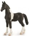 CollectA 動物模型 巴洛克品托小馬