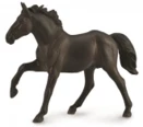 CollectA 動物模型 農聶斯公馬