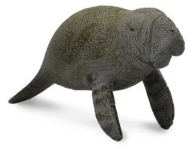 CollectA 動物模型 小海牛