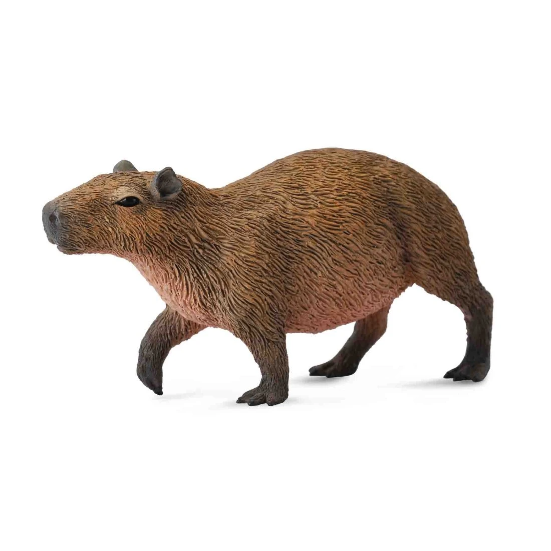 CollectA 動物模型 水豚
