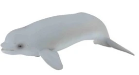 CollectA 動物模型 幼白鯨
