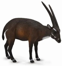 CollectA 動物模型 中南大羚