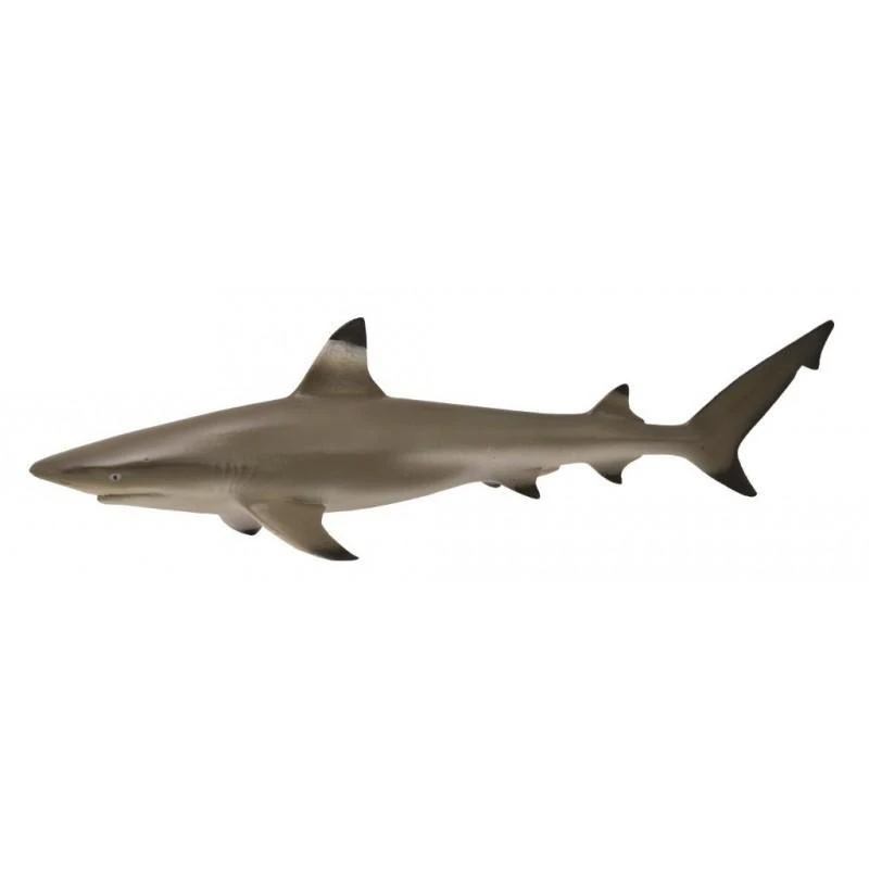 CollectA 動物模型 烏翅真鯊