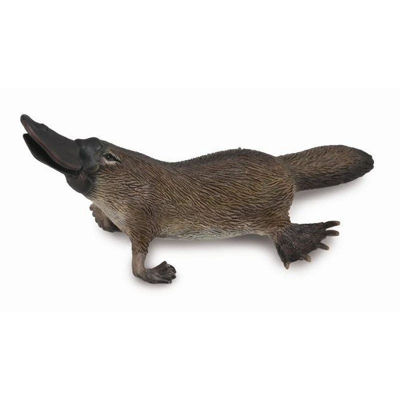 CollectA 動物模型 鴨嘴獸
