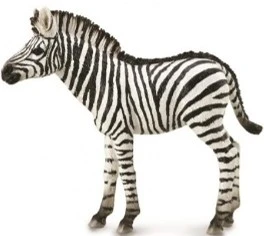 CollectA 動物模型 幼斑馬