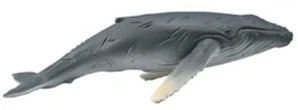 CollectA 動物模型 幼座頭鯨