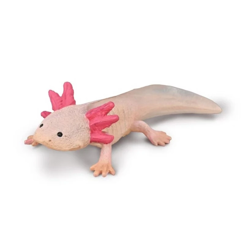 CollectA 動物模型 動物模型 蠑螈