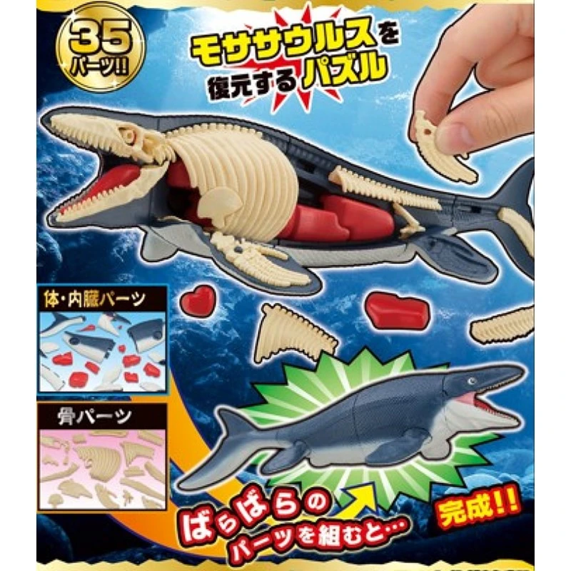 代理版 MH MegaHouse 自然科學系列 滄龍 趣味立體拼圖