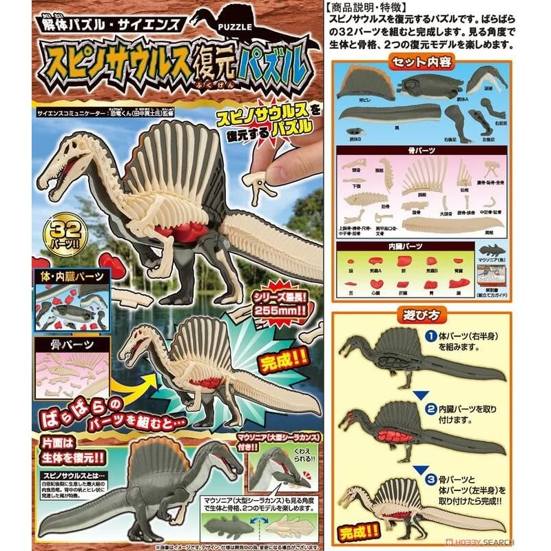 代理版 MH MegaHouse 自然科學系列 棘龍 趣味立體拼圖