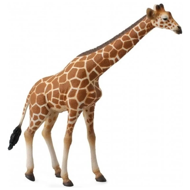 CollectA 動物模型 大長頸鹿