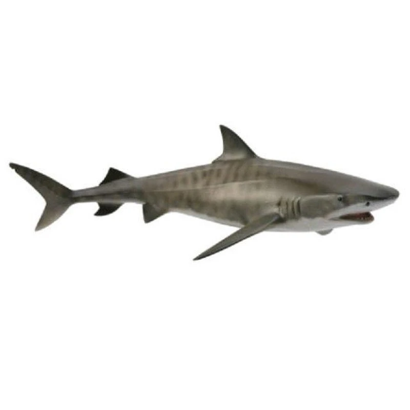 CollectA 動物模型 老虎鯊