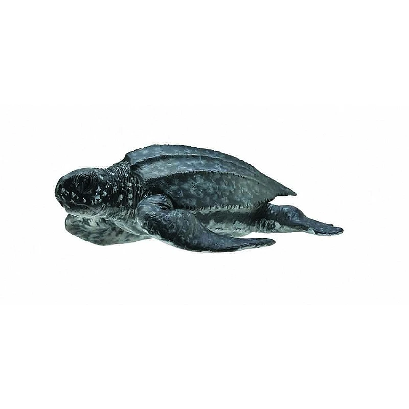 CollectA 動物模型 棱皮龜