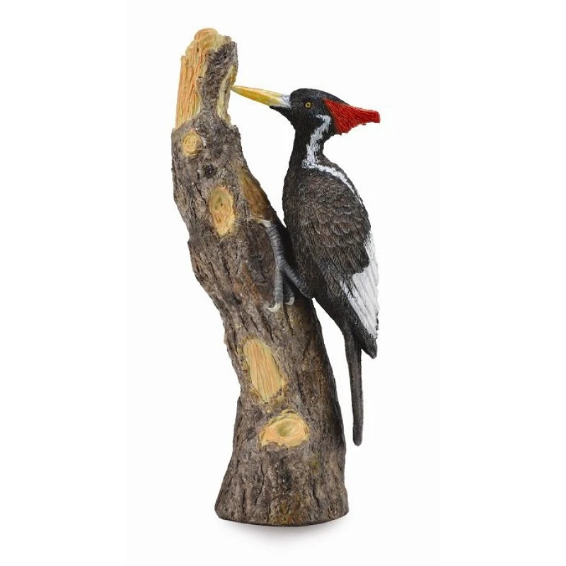 CollectA 動物模型 象牙喙啄木鳥