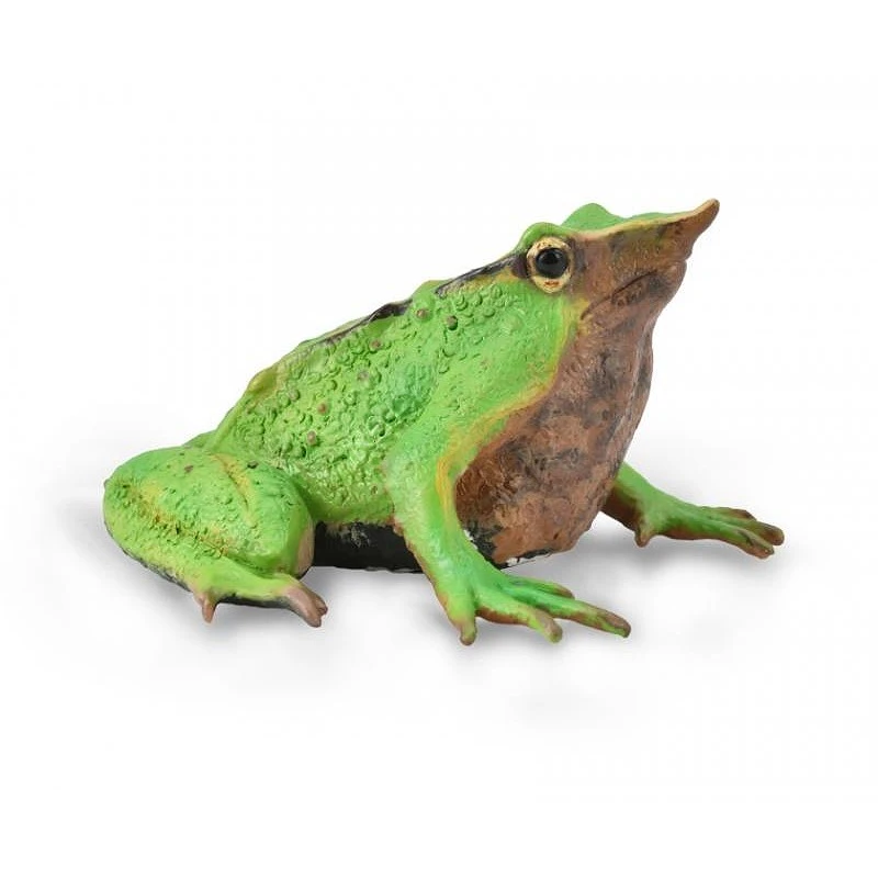 CollectA 動物模型 達爾文蛙