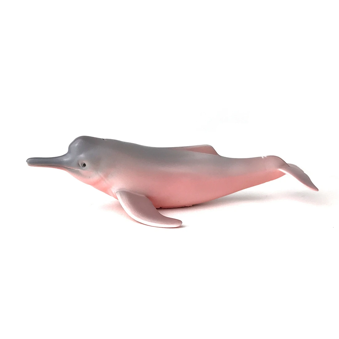 CollectA 動物模型 亞馬遜河豚