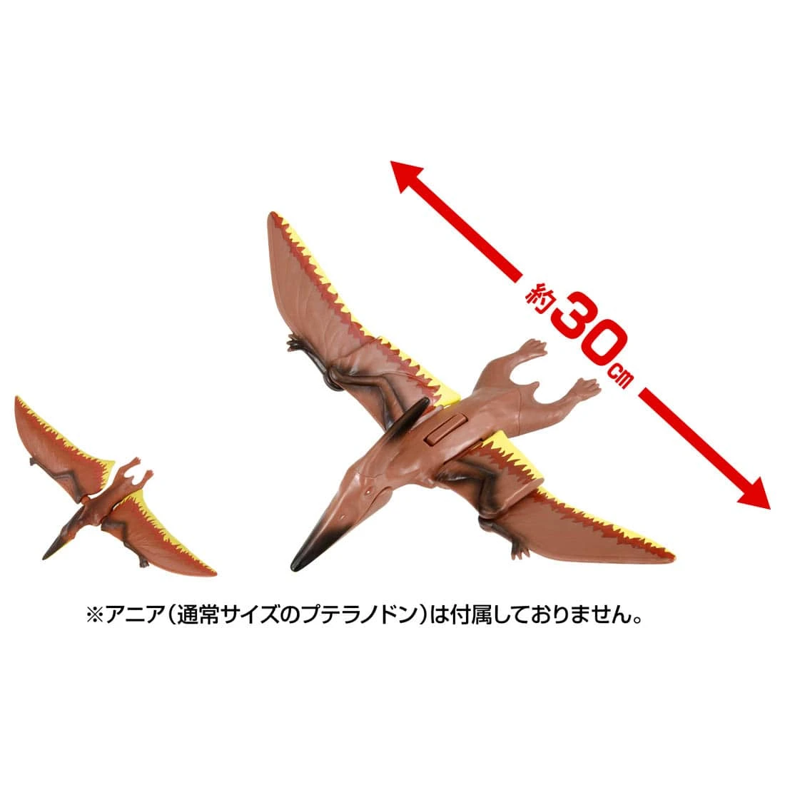 TakaraTomy ANIA 冒險王國 大型無齒翼龍