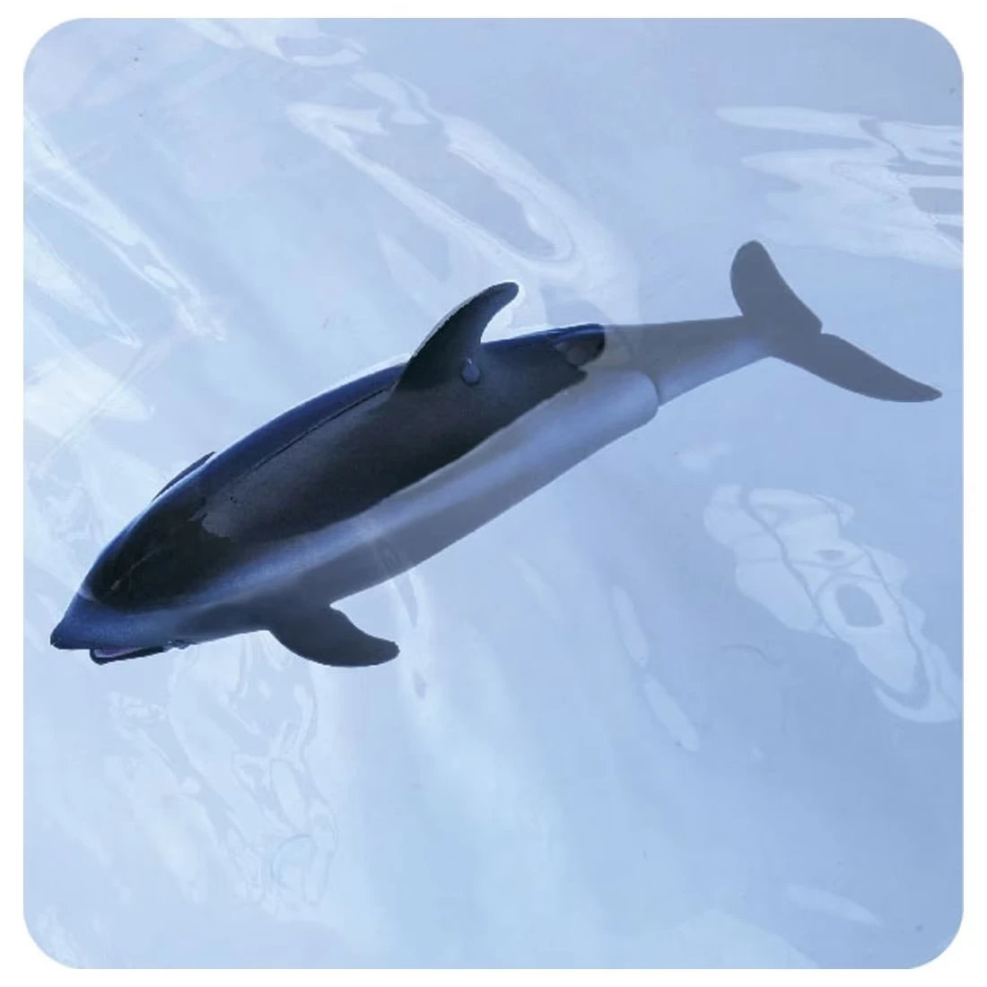 TakaraTomy ANIA AS-19 海豚(漂浮版)