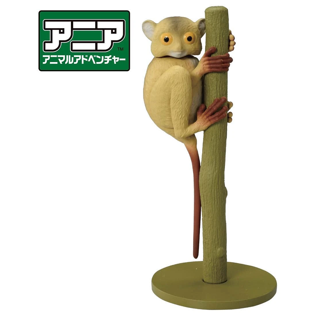 TakaraTomy ANIA AS-27 眼鏡猴