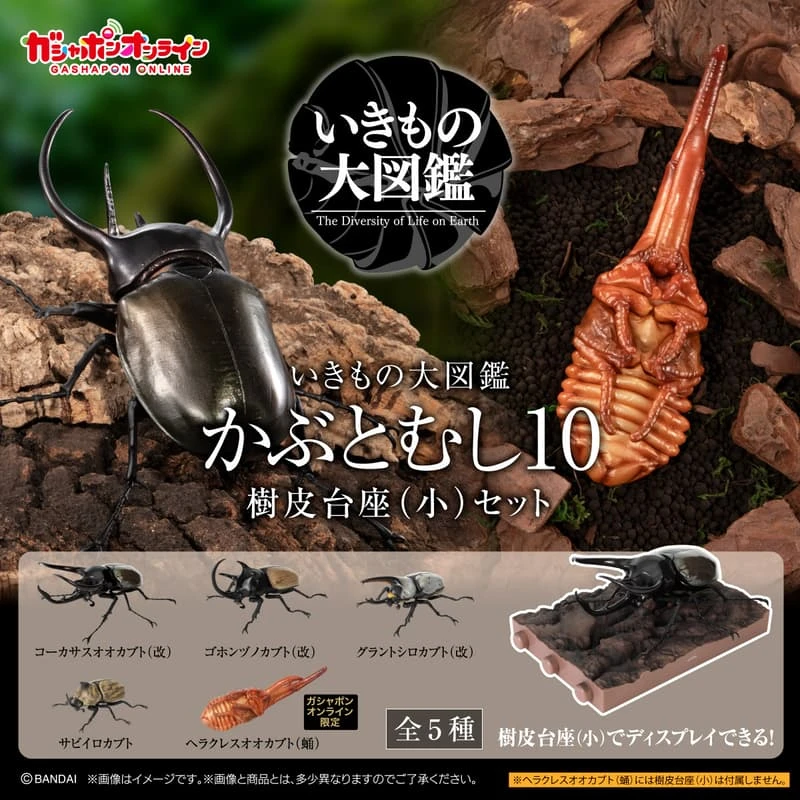 盒玩 生物大圖鑑 獨角仙 10 附樹皮底座 小 五款一套
