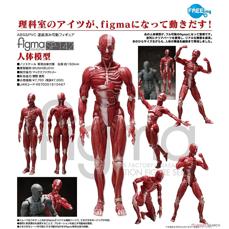 代理版 figma 桌上美術館 人體模型
