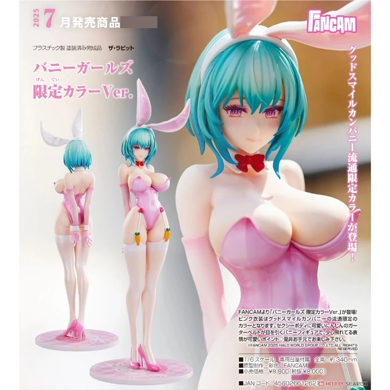代理版 FANCAM 1/6 The Rabbit 兔女郎 限定色