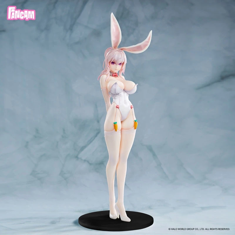 特價 FANCAM 1/6 Bunny Girls 兔女郎 White 白兔 附特典